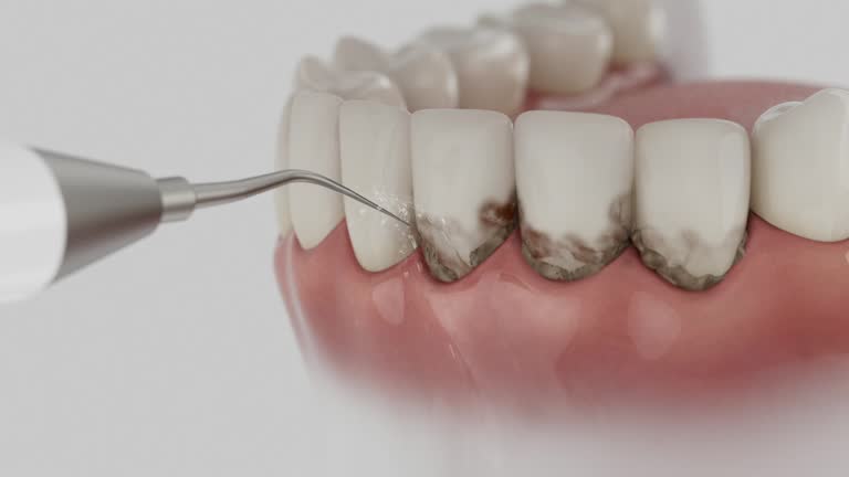 Reliable Dental contractor in Morrisonville, IL by Dentist Open Now